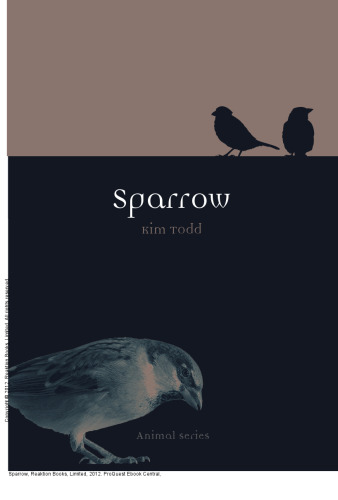 Sparrow