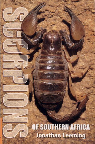 Scorpions of Southern Africa