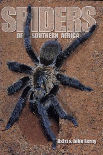 Spiders of Southern Africa