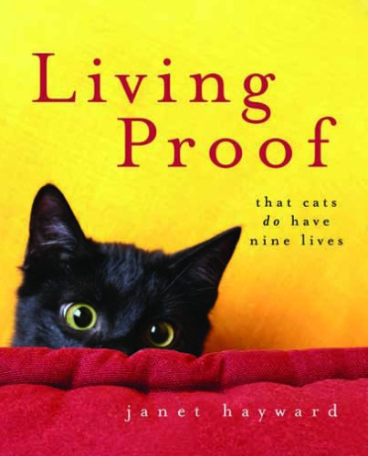 Living Proof: That Cats Do Have Nine Lives