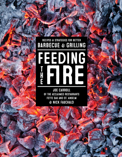 Feeding the fire : poems
