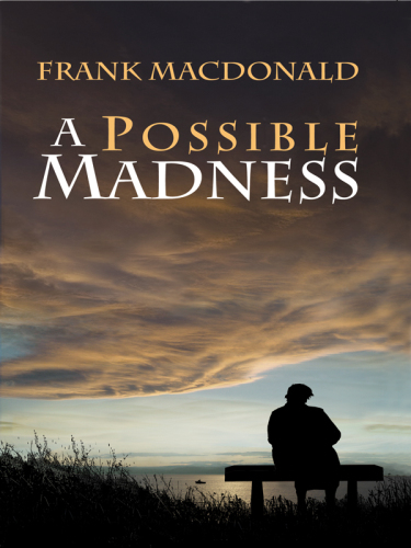 A Possible Madness : A Novel