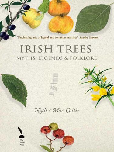 Irish Trees: Myths, Legends & Folklore