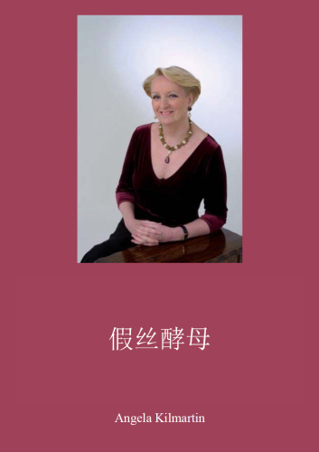 Candida Yeast (Chinese): A Practical handbook for sufferers