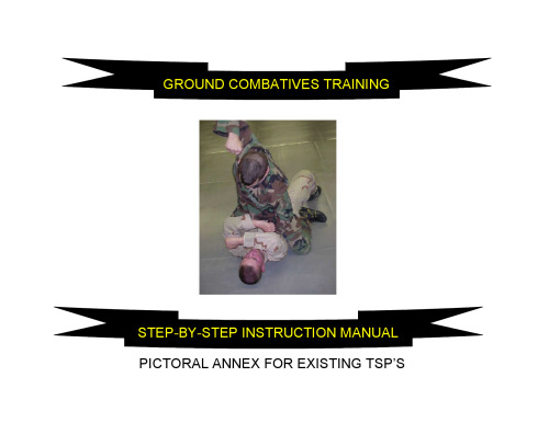 21st Century U.S. Army Combatives Field Manual