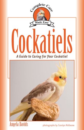 Cockatiels: A Guide to Caring for Your Cockatiel
