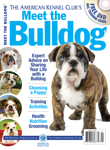 Meet the Bulldog