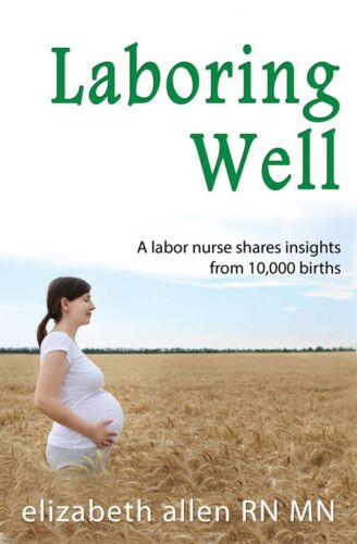 Laboring Well, A labor nurse shares insights from 10,000 births