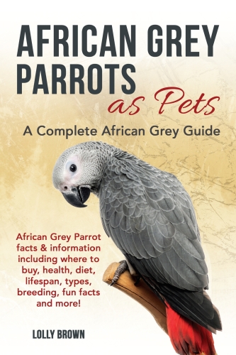 African Grey Parrots as Pets: A Complete African Grey Guide