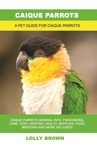 Caique Parrots: A Pet Guide for Caique Parrots