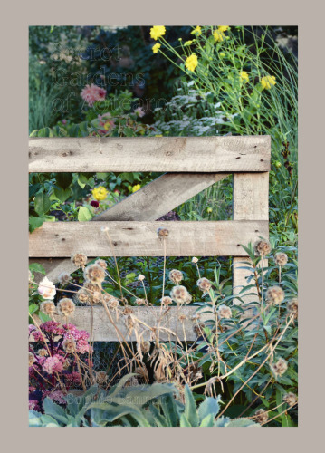 Secret Gardens of Aotearoa : Field Notes & Practical Wisdom