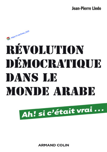 Révolution démocratique dans le monde arabe. Ah ! si c'était vrai...