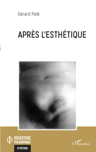 Après l'esthétique