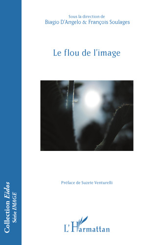 Le flou de l'image