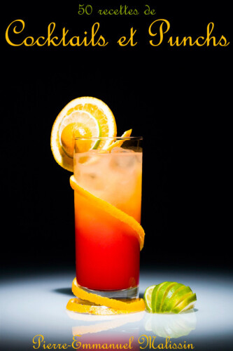 50 Recettes de Cocktails et Punchs