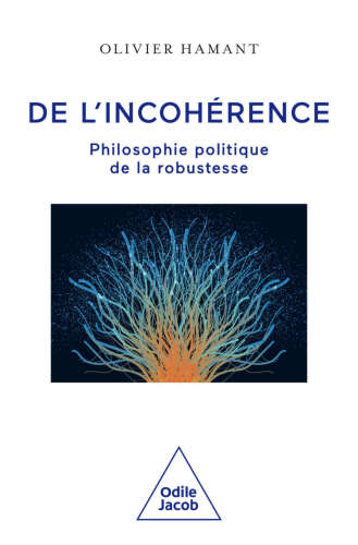 De l'incohérence : philosophie politique de la robustesse