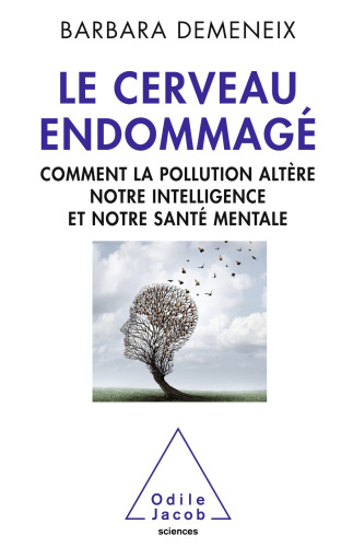 Le cerveau endommagé: comment la pollution altère notre intelligence et notre santé mentale