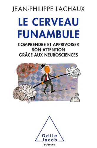 Le cerveau funambule