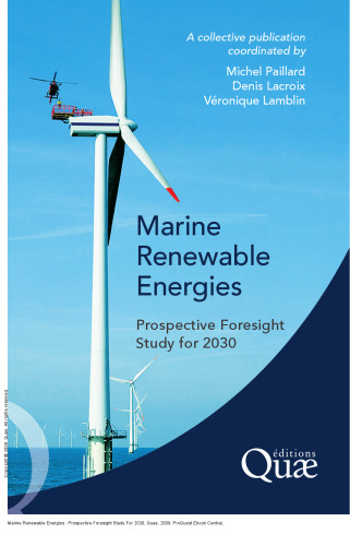 Marine Renewable Energies: Prospective Foresight Study For 2030