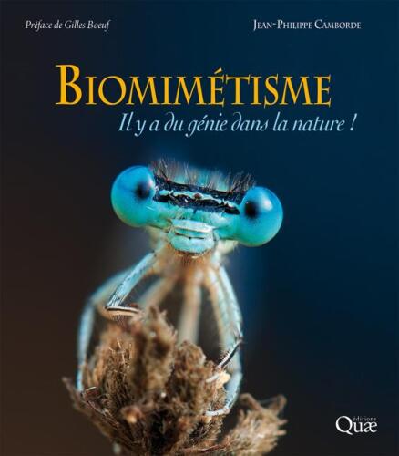 Biomimétisme. Il y a du génie dans la nature