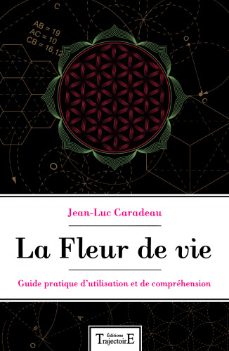 La fleur de vie: guide pratique d'utilisation et de compréhension
