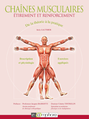 Chaînes musculaires - Étirement et renforcement