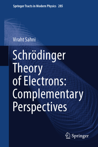 Schrödinger Theory of Electrons: Complementary Perspectives