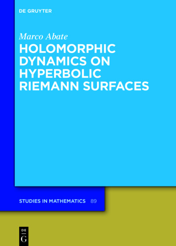 Holomorphic Dynamics on Hyperbolic Riemann Surfaces