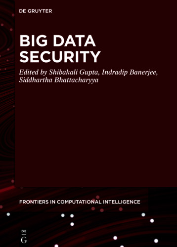 Big Data Security