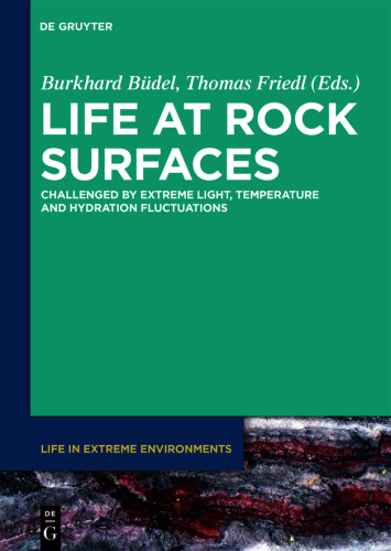 Life at Rock Surfaces: Challenged by Extreme Light, Temperature and Hydration Fluctuations