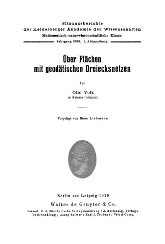Über Flächen mit geodätischen Dreiecksnetzen