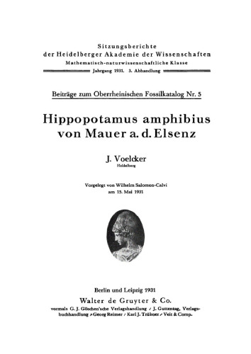 Hippopotamus amphibius von Mauer a.d. Elsenz