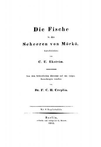 Die Fische in den Scheeren von Mörkö