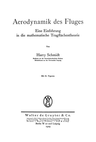Aerodynamik des Fluges: Eine Einführung in die mathematische Tragflächentheorie