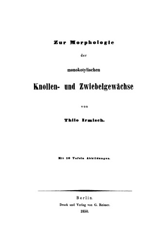 Zur Morphologie der monokotylischen Knollen- und Zwiebelgewächse