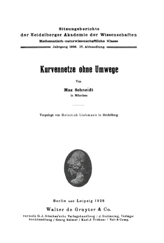 Kurvennetze ohne Umwege