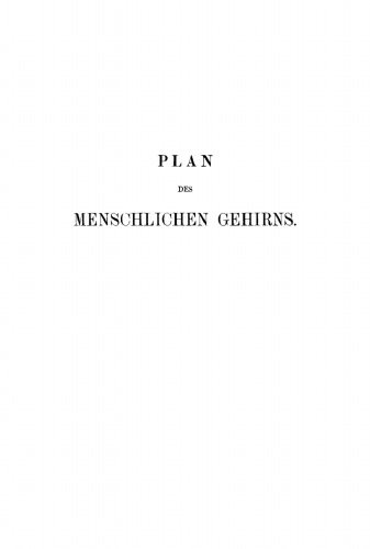 Plan des menschlichen Gehirns