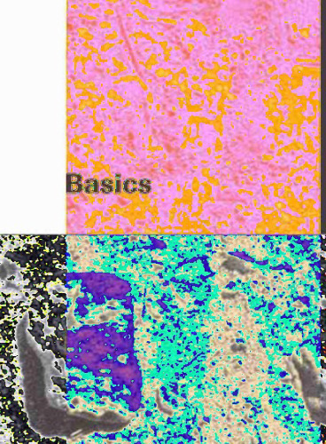 Basics: Architektonische Grundelemente und ihre Dynamik