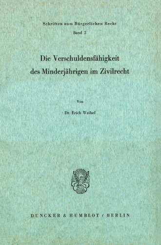 Die Verschuldungsfähigkeit des Minderjährigen im Zivilrecht