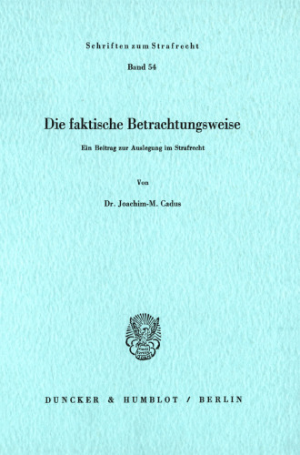 Die faktische Betrachtungsweise: Ein Beitrag zur Auslegung im Strafrecht