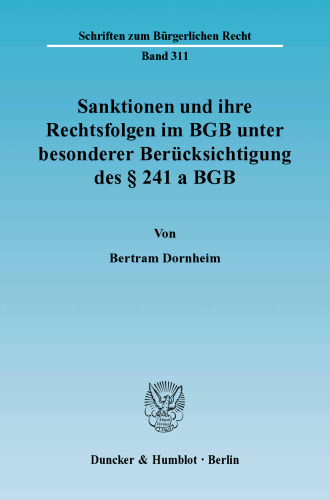 Sanktionen und ihre Rechtsfolgen im BGB unter besonderer Berücksichtigung des § 241 a BGB