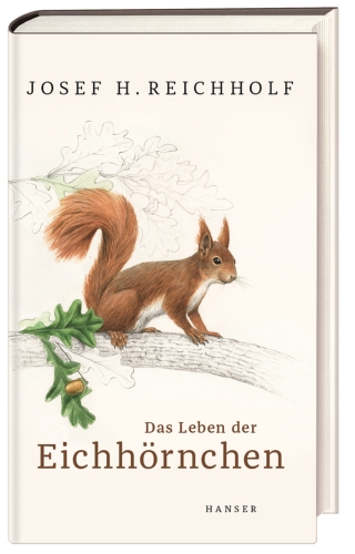 Das Leben der Eichhörnchen