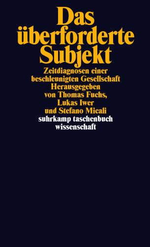Das überforderte Subjekt. Zeitdiagnosen einer beschleunigten Gesellschaft