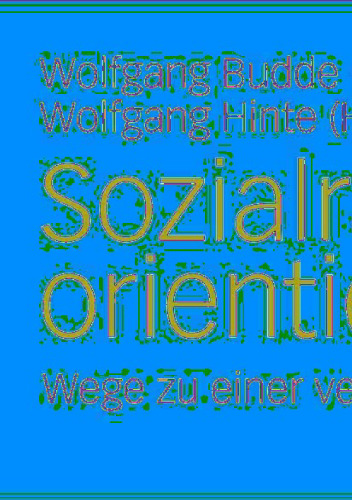 Sozialraumorientierung: Wege zu einer veränderten Praxis