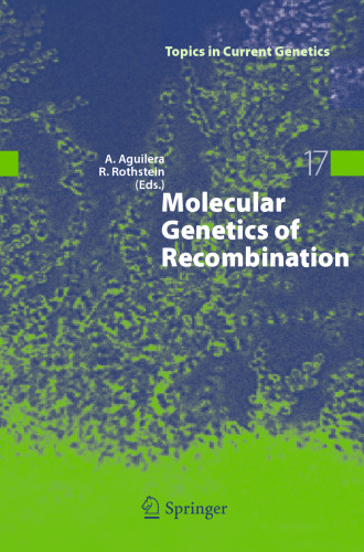 Molecular Genetics of Recombination (Topics in Current Genetics, 17)
