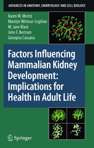 Factors Influencing Mammalian Kidney Development: Implications for Health in Adult Life