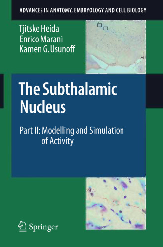 The Subthalamic Nucleus Part II: Modelling and Simulation of Activity