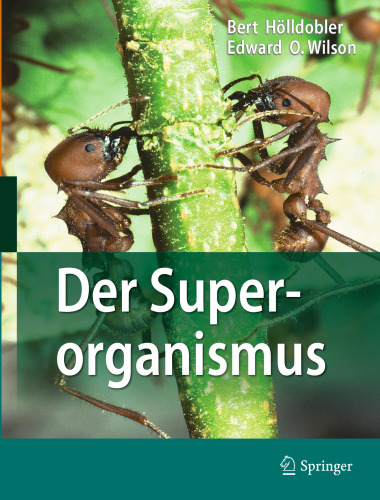 DER SUPERORGANISMUS: Der Erfolg von Ameisen, Bienen, Wespen und Termiten