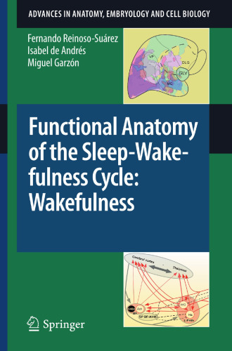 Functional Anatomy of the Sleep-Wakefulness Cycle: Wakefulness