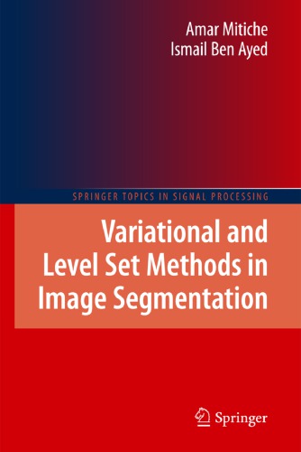 Variational and Level Set Methods in Image Segmentation